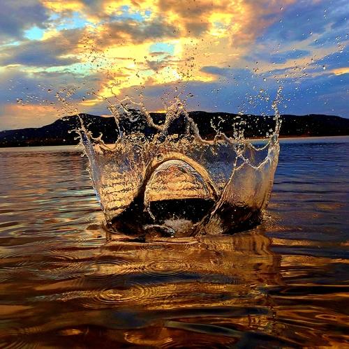 Photo #3672367