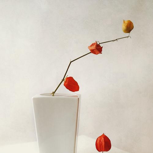 Photo #3672602