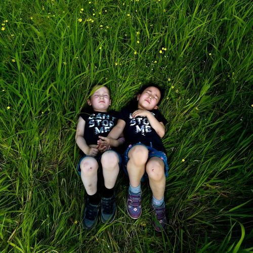 Photo #3672840