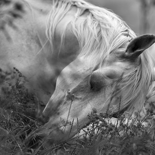Photo #3672914