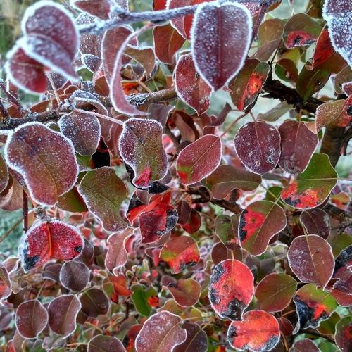 Photo #3673280