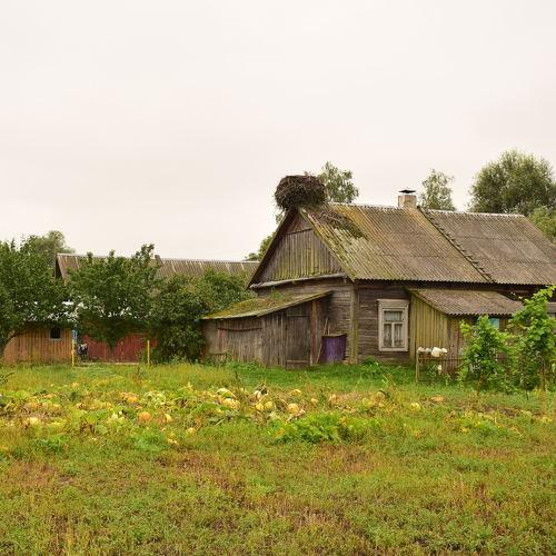 Photo #3673622
