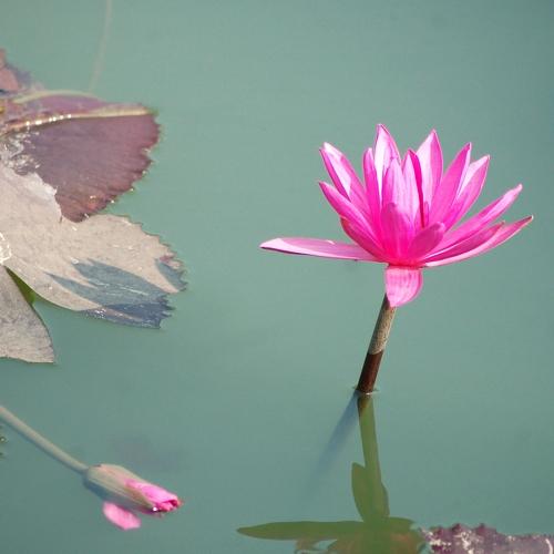 Photo #3673820