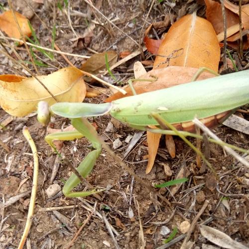 Photo #3674525