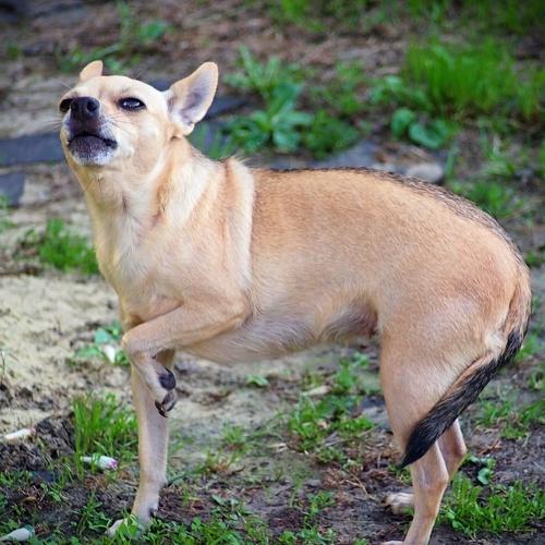 Photo #3674729