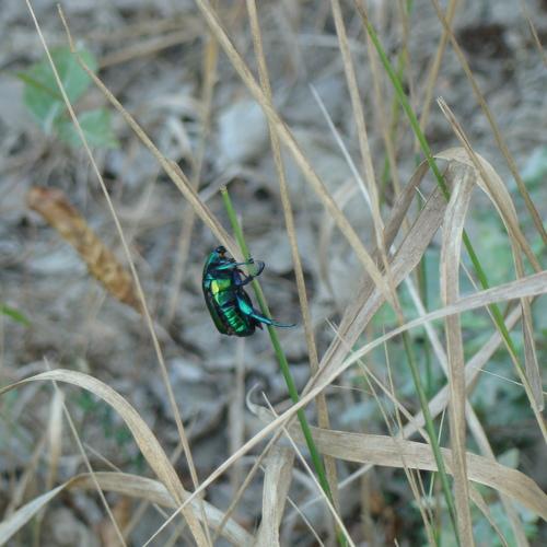 Photo #3674752