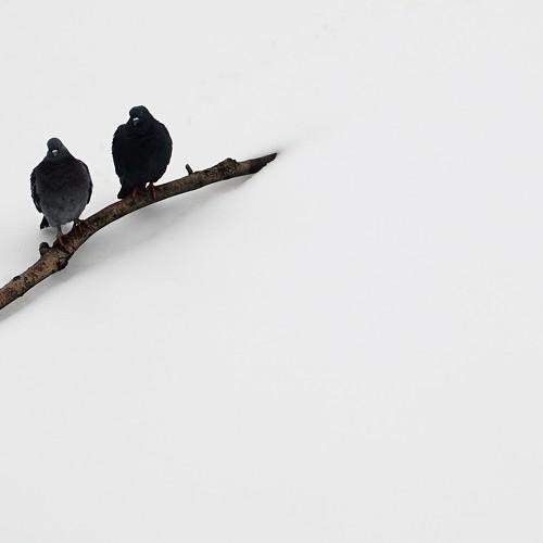 Photo #3675038