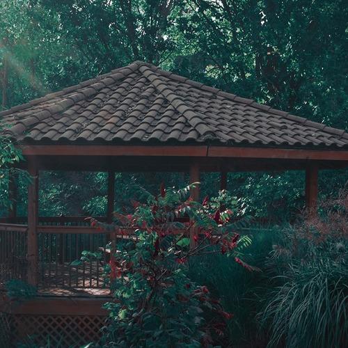 Photo #3676437