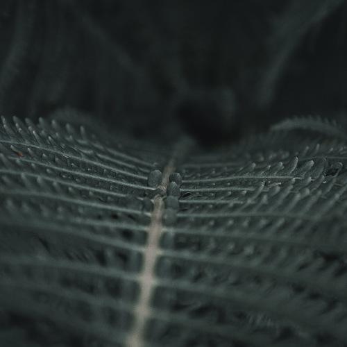 Photo #3676445