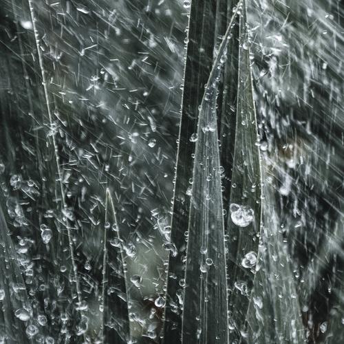 Photo #3676593