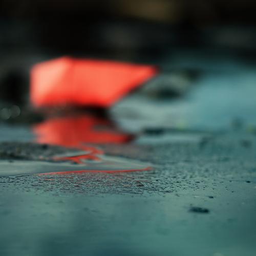 Photo #3676609