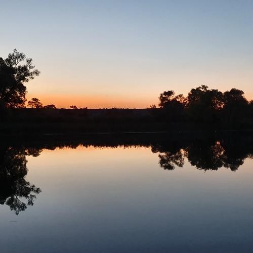 Photo #3676613