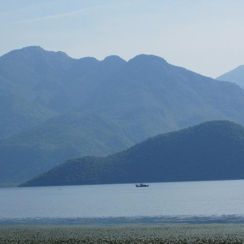 Photo #3677079