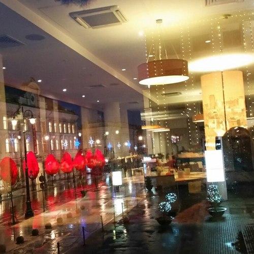 Photo #3677112