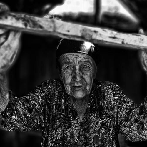 Photo #3677324