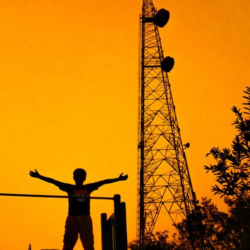 Photo #3679640