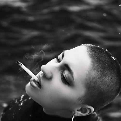 Photo #3679761