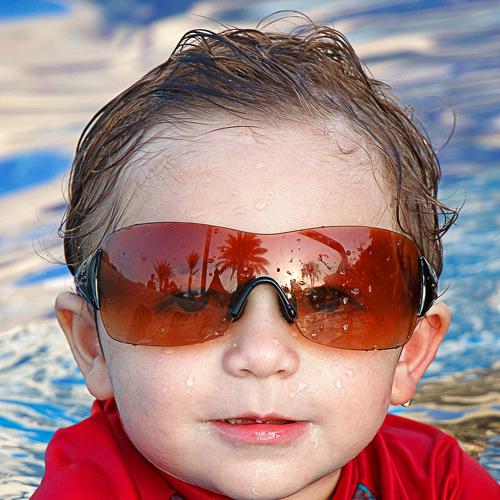 Photo #3680108