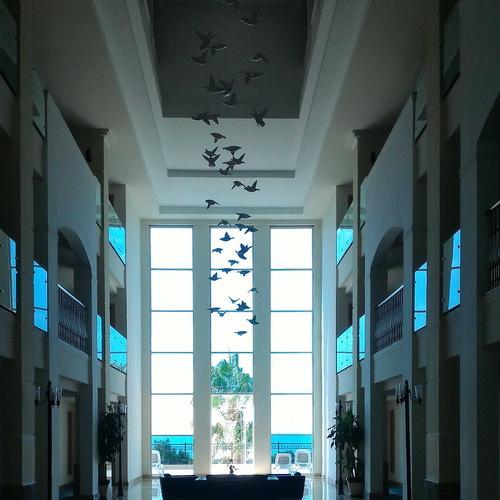 Photo #3680284