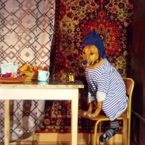 Photo #3680391