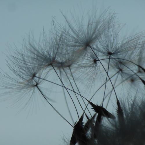 Photo #3680842