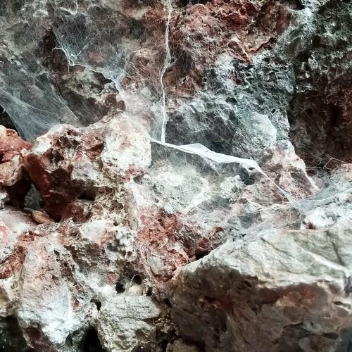 Photo #3680845