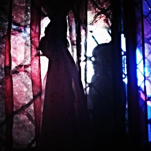 Photo #3681002
