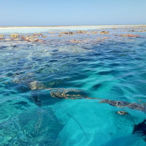 Photo #3681158