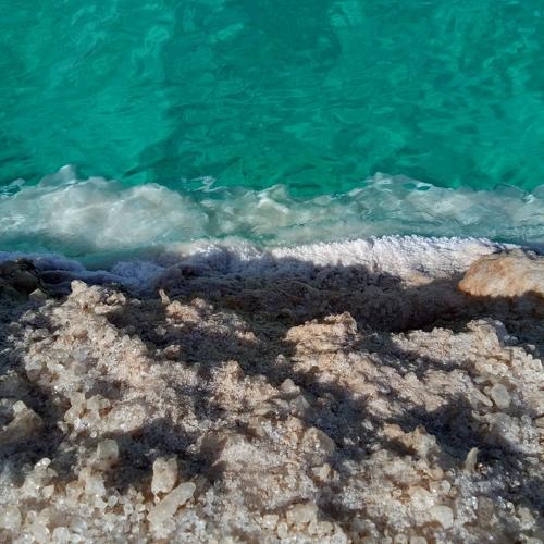 Photo #3681213