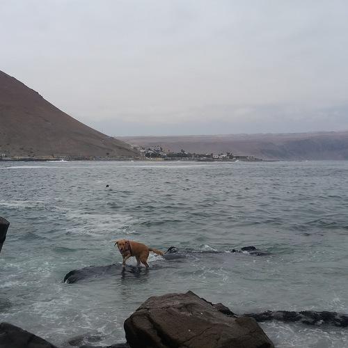 Photo #3681232