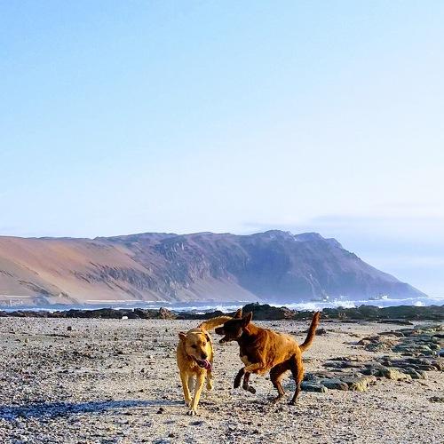 Photo #3681234