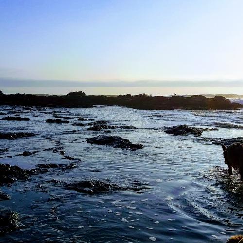 Photo #3681235