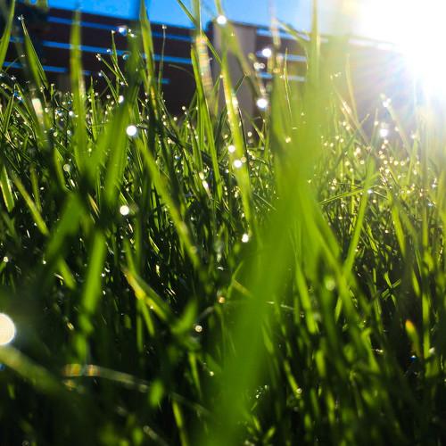 Photo #3681684