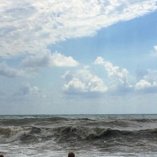 Photo #3681810
