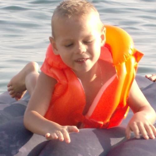 Photo #3681972