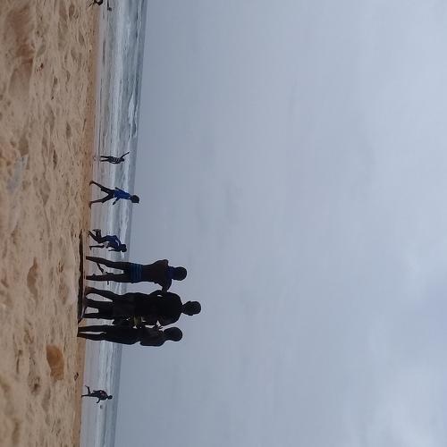 Photo #3682600
