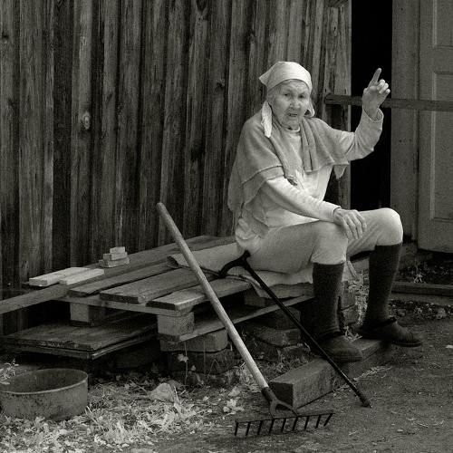 Photo #3682663