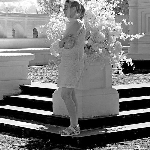 Photo #3682669