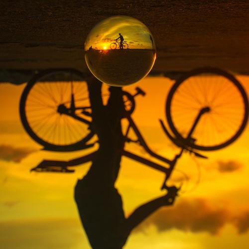 Photo #3682866