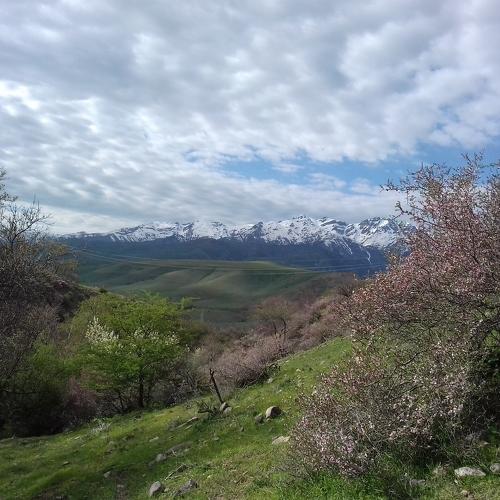 Photo #3682907