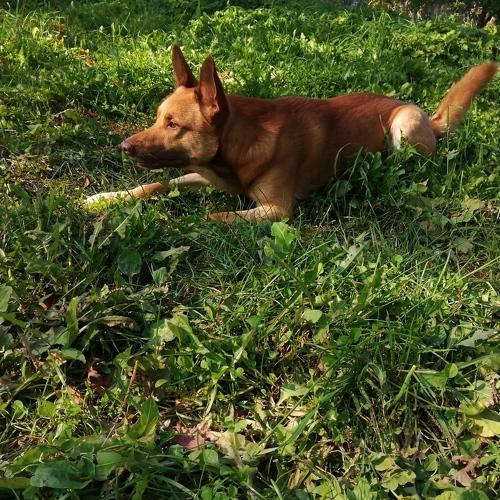 Photo #3683404