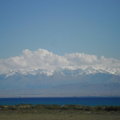 Photo #3683968