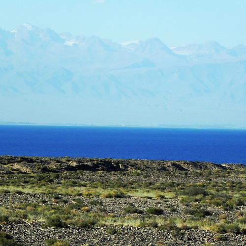 Photo #3683972