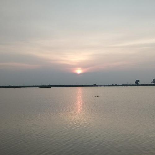 Photo #3684429