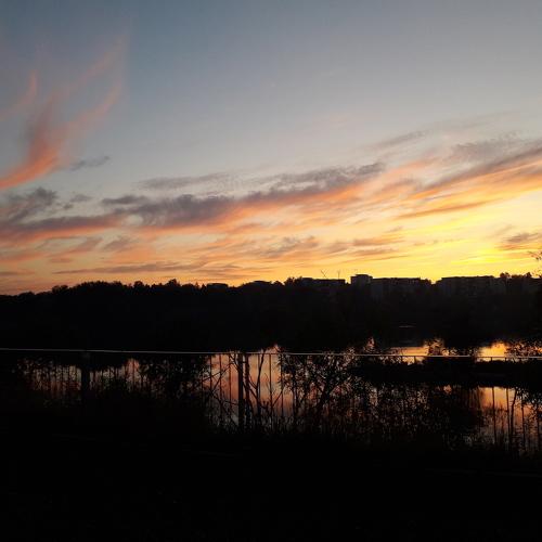 Photo #3684709