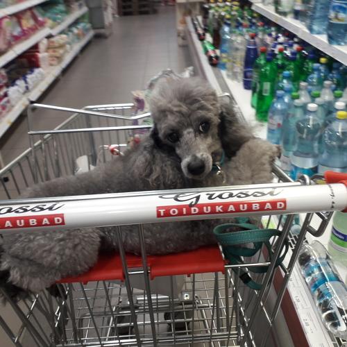 А вы так умеете ?