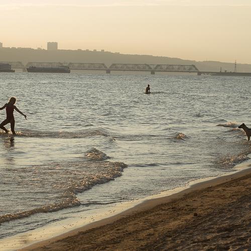 Photo #3685018