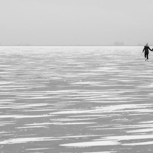 Photo #3685594