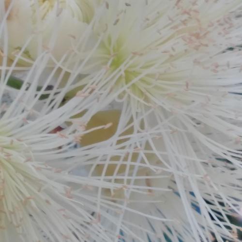 Photo #3685684