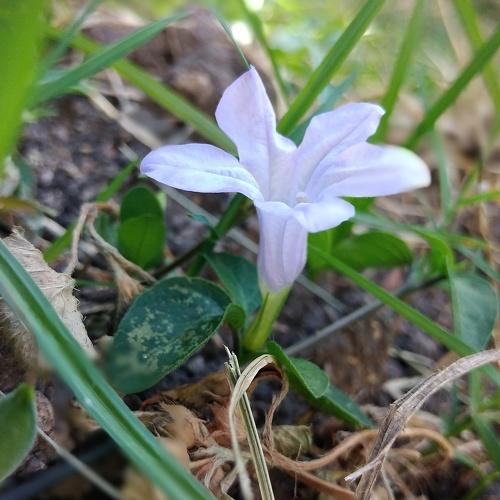 Photo #3685786